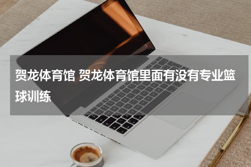 贺龙体育馆 贺龙体育馆里面有没有专业篮球训练