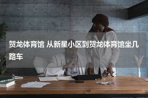 贺龙体育馆 从新星小区到贺龙体育馆坐几路车