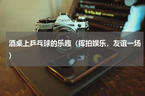 酒桌上乒乓球的乐趣（挥拍娱乐，友谊一场）