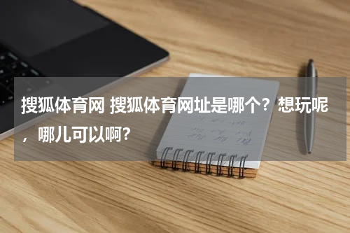 搜狐体育网 搜狐体育网址是哪个？想玩呢，哪儿可以啊？