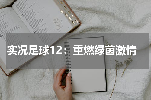 实况足球12：重燃绿茵激情