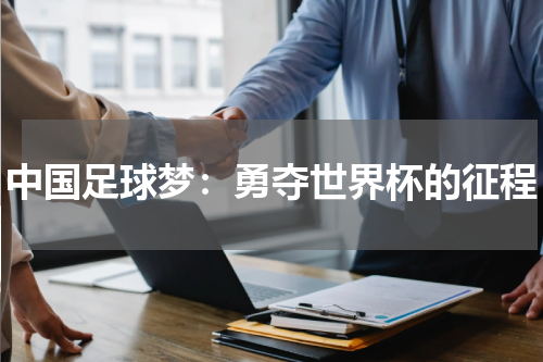 中国足球梦：勇夺世界杯的征程