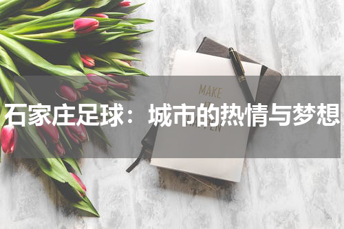 石家庄足球：城市的热情与梦想