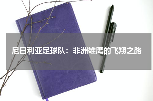 尼日利亚足球队：非洲雄鹰的飞翔之路