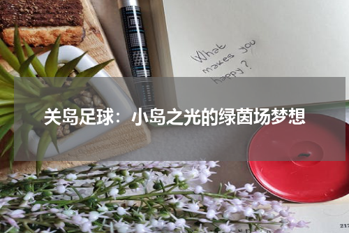关岛足球：小岛之光的绿茵场梦想
