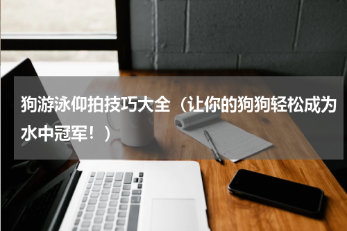 狗游泳仰拍技巧大全（让你的狗狗轻松成为水中冠军！）