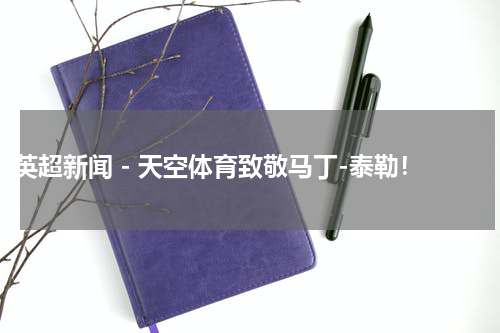 英超新闻 - 天空体育致敬马丁-泰勒！